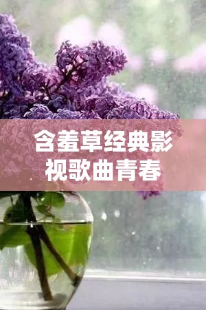 含羞草经典影视歌曲青春的忆影视：重温青春的美好回忆