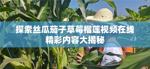 探索丝瓜茄子草莓榴莲视频在线精彩内容大揭秘