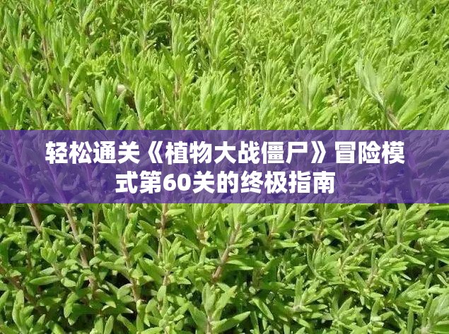 轻松通关《植物大战僵尸》冒险模式第60关的终极指南