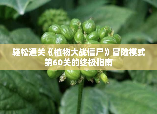 轻松通关《植物大战僵尸》冒险模式第60关的终极指南