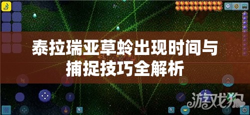 泰拉瑞亚草蛉出现时间与捕捉技巧全解析