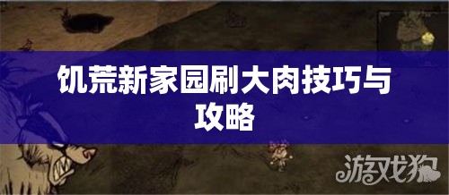 饥荒新家园刷大肉技巧与攻略