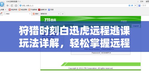 狩猎时刻白迅虎远程逃课玩法详解，轻松掌握远程技巧！