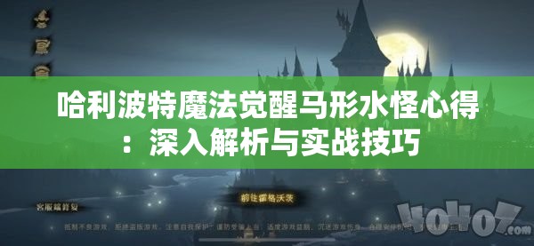 哈利波特魔法觉醒马形水怪心得：深入解析与实战技巧